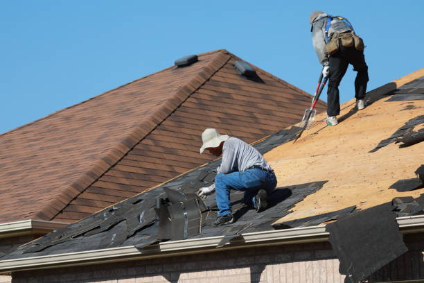 Siding in Troup, TX